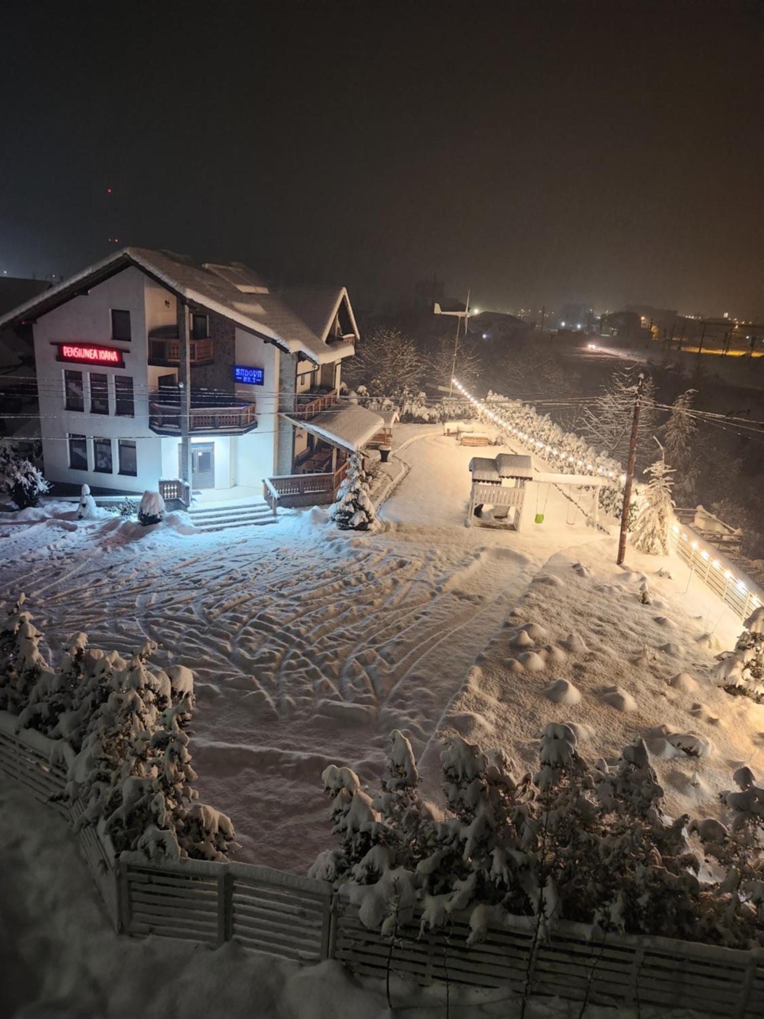 Pensiunea Ioana Садова Экстерьер фото